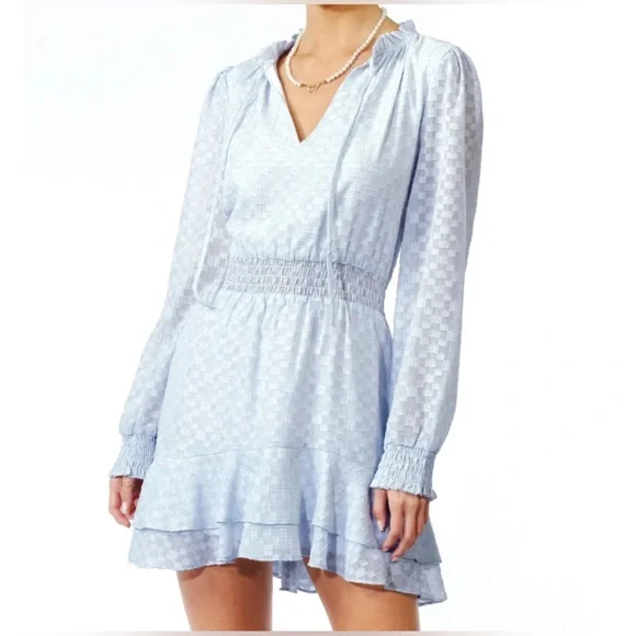 RUFFLE SLEEVE SMOCKED MINI DRESS - Picture 4 of 11